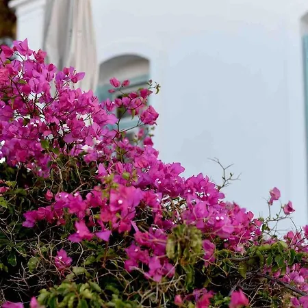 Captain's Mansion Exampela *