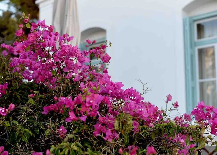 Captain's Mansion Exampela *