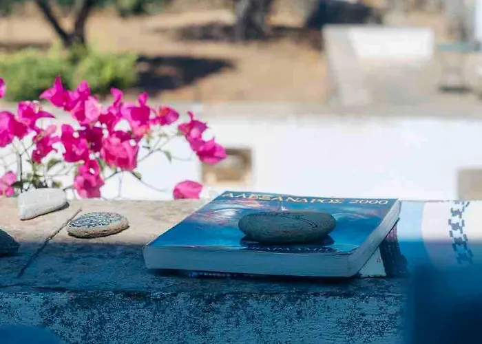 Villa Captain's Mansion Exampela